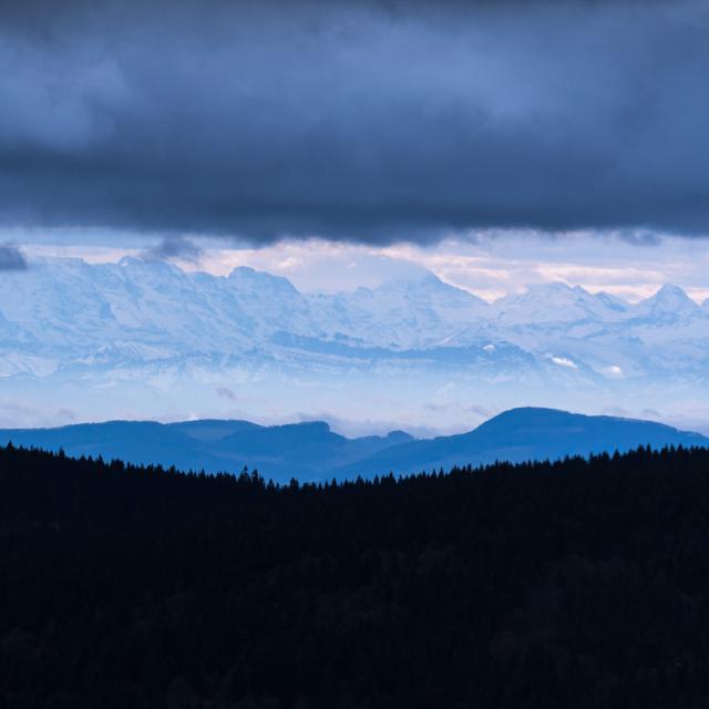 A blue mountainrange in the distance